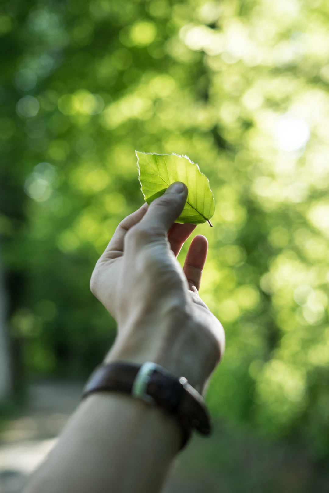 Encouragez l'Utilisation Responsable des Montres Connectées