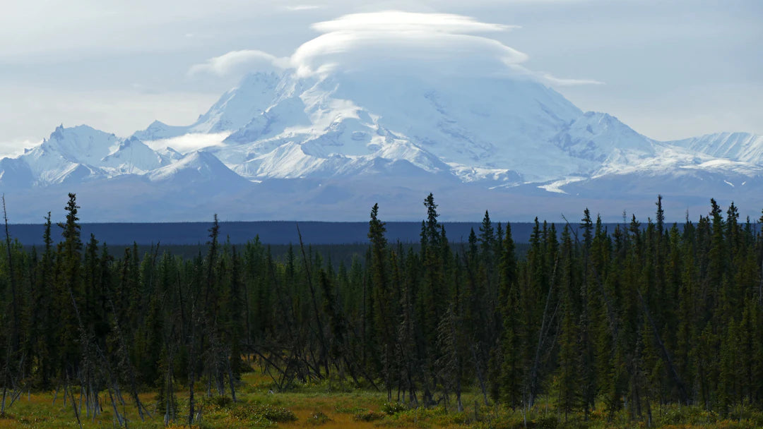 Montres connectées vs. téléphones : quel est le meilleur choix ? - iSmartwatch